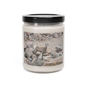 Baby Mountain Goat Scented Soy Candle, 9oz