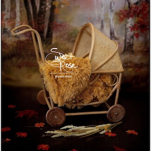 Newborn Carriage Fall Autumn Digital Backdrop