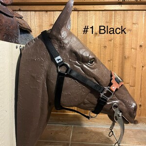 Bronc Leather Noseband with Hide Halter