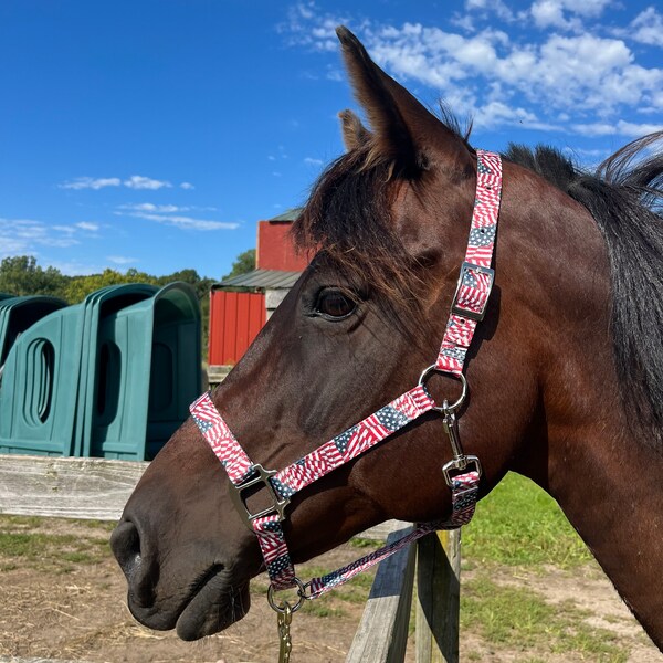 Patriotic Horse Tack Etsy