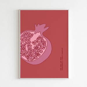 Pomegranate Print, Fruit Art Print, Minimalist Pomegranate Poster, Fruit Market Printable Art, Abstract Poster, Modern Art, Digital Download image 3