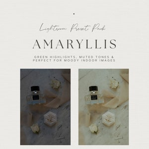 Amaryllis Preset | Nostalgic & Earthy Aesthetic Lightroom Presets | Desktop Lightroom Preset