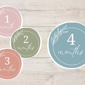 Baby Monthly Milestone Stickers - Digital Download