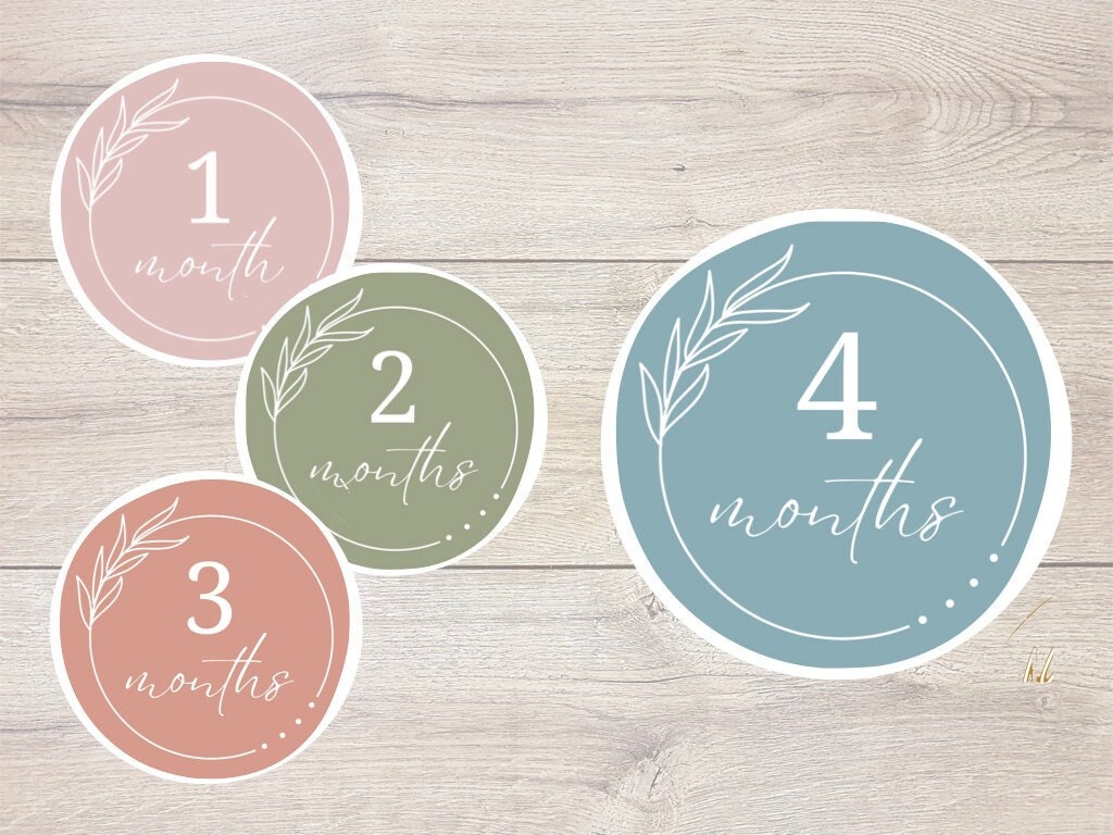 Baby Monthly Milestone Stickers - Digital Download - Etsy