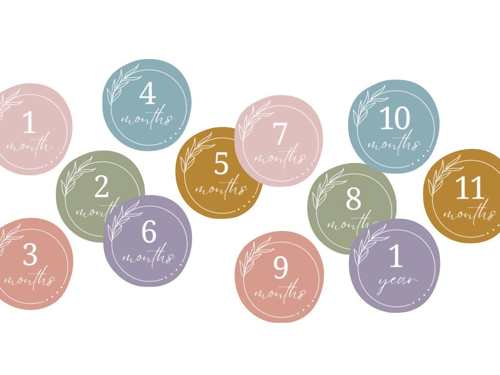 Baby Monthly Milestone Stickers - Digital Download - Etsy