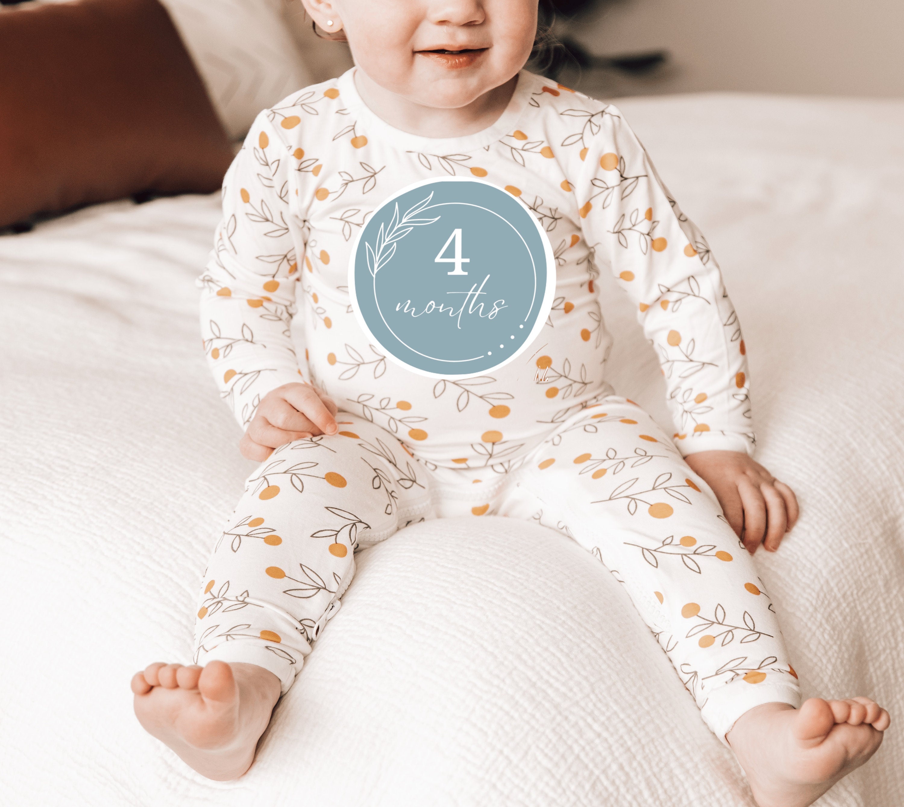Baby Monthly Milestone Stickers - Digital Download - Etsy