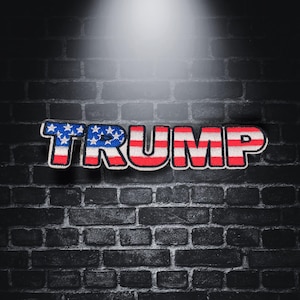 May include: Embroidered patch with the name "TRUMP" in red, white, and blue, with a design inspired by the American flag. The patch is set against a dark grey brick wall.