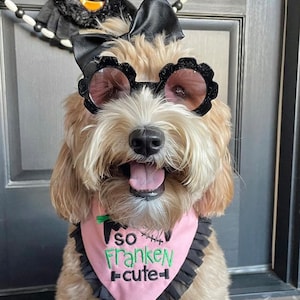 Flower Sunglasses Personalized Doggy Shades / Small to Medium Dogs Cute Sunnies / Customizable Puppy Photoshoot Sunglasses