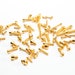 see more listings in the Gold Screws section