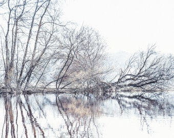 Reflejo de árboles en el río