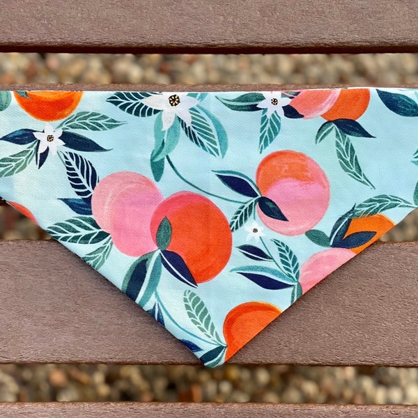 Peach Dog Bandana Etsy