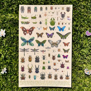 Póster de estilo vintage con estampado de insectos inspirados en Animal Crossing New Horizons