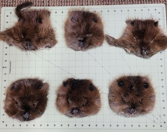 Authentic Fur Faces