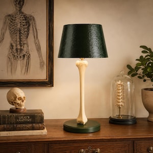 Può includere: Una lampada da tavolo con una base a forma di osso color crema, una base circolare verde scuro e un paralume conico abbinato. La lampada è posizionata su una superficie in legno accanto a un modello di teschio umano, libri e una campana di vetro.