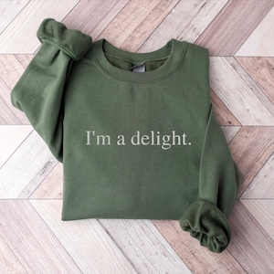 Embroidered I'm A Delight Sweatshirt, I'm a Delight Sweatshirt, Funny Sweatshirt, I'm A Delight Sweater Embroidered, Funny Sweater Embroider