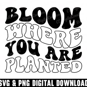 Bloom Where You Are Planted Svg, Self Love Svg, Digital Download, Blooming Svg, Wavy Letters Svg, Inspirational Svg, Svg Cut Files