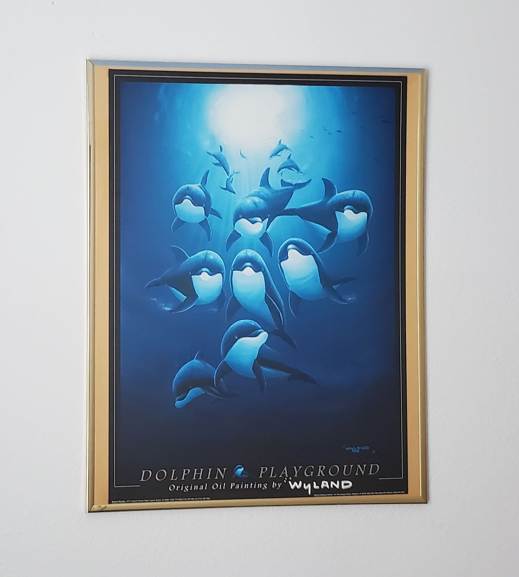 Signed Wyland Art - Etsy