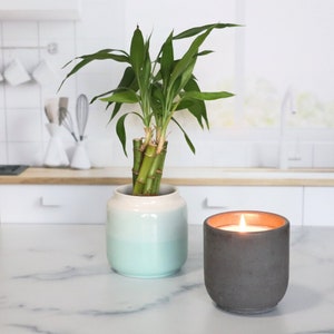 Bamboo Scented Candle | Concrete Candle | Soy Wax Candle | Concrete Home Decor | Clean Fragrance | Self Care Gift | Clean Burning Candle