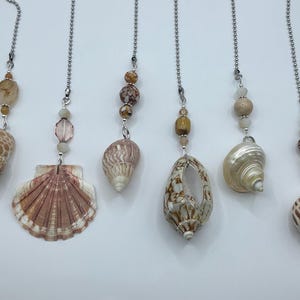 May include: A collection of six seashell and bead ceiling fan pull chains. Each chain features a different seashell, including a scallop shell, and various beads in neutral tones. The chains are suspended against a white background.