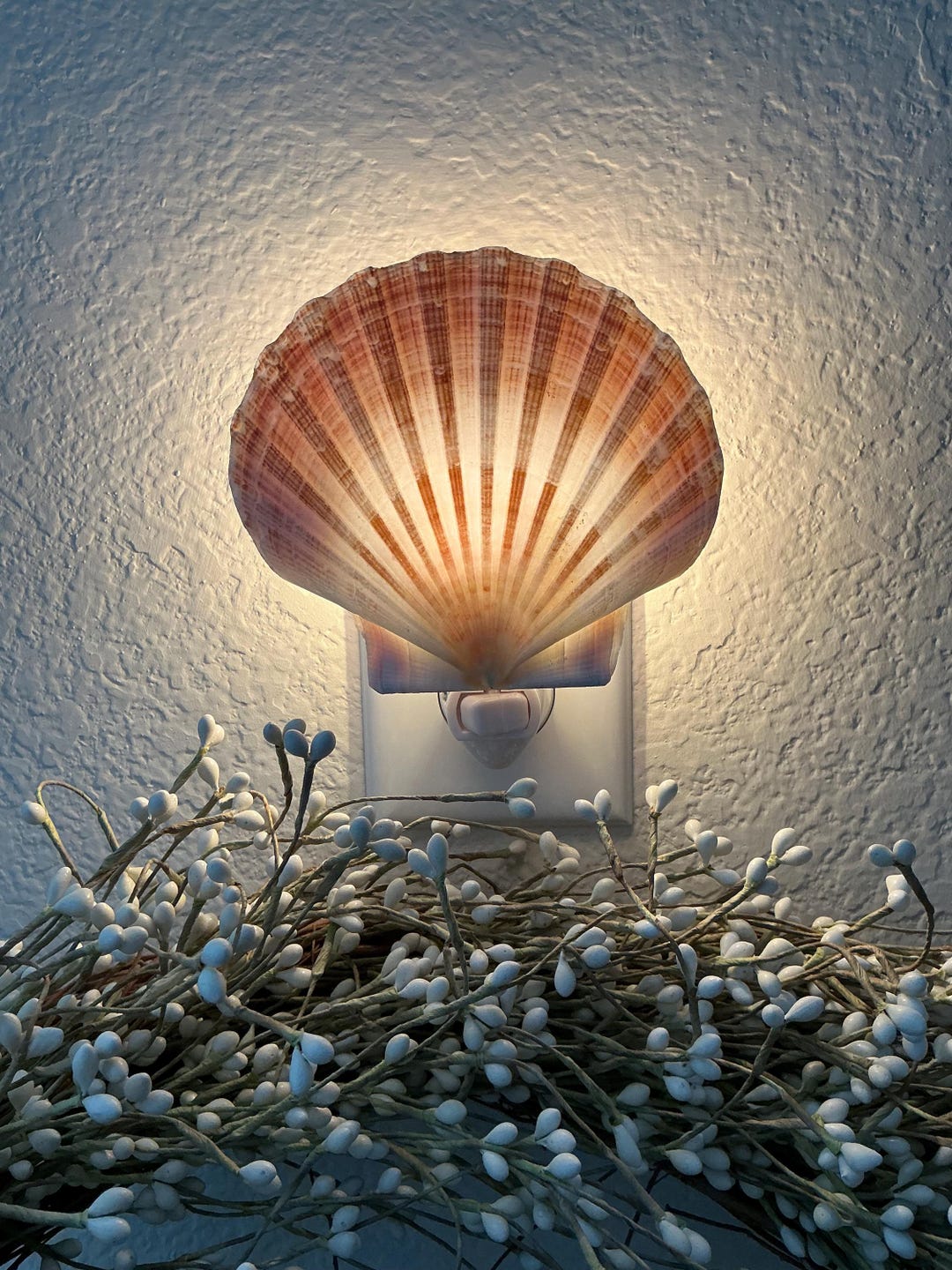 New Handcrafted Authentic Irish Flat Scallop Sea Shell LED Night Light ...