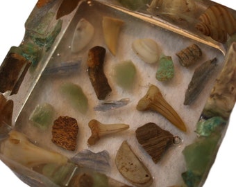 fossils teeth & rocks ashtray