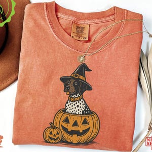 May include: Orange Comfort Colors t-shirt featuring a Halloween-themed graphic. The design includes a dog wearing a witch hat inside a carved pumpkin. A small pumpkin is next to the larger one. A gold necklace is draped on the shirt.
