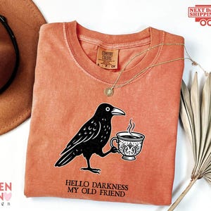 May include: A terracotta-colored t-shirt featuring a black graphic of a crow holding a teacup. Below the crow, the text reads, "HELLO DARKNESS MY OLD FRIEND." The shirt has a crew neckline and a Comfort Colors brand label on the inside collar.
