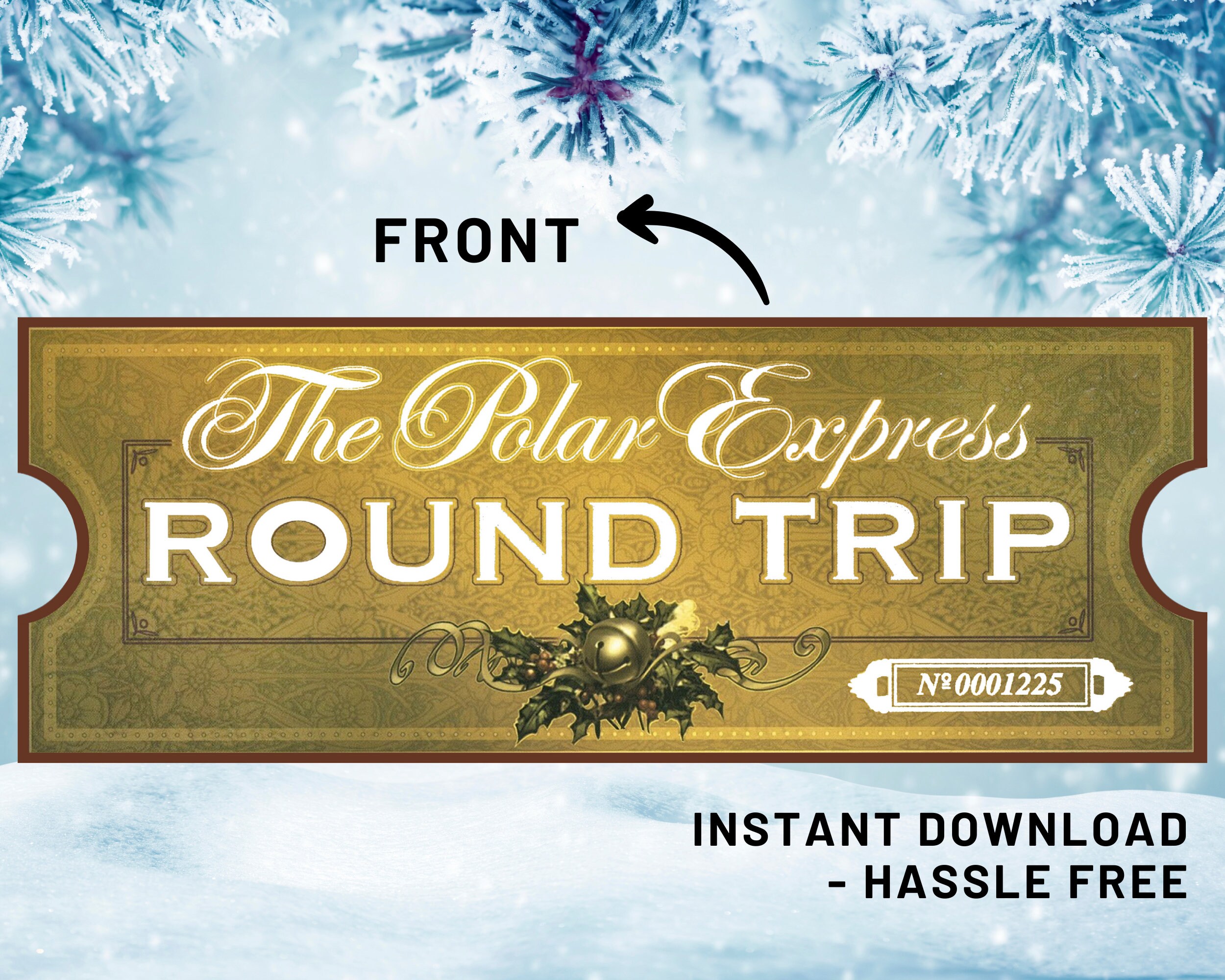 Editable Polar Express Ticket Printable Polar Express Ticket Etsy Canada