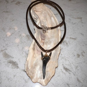 Shark Tooth Necklace