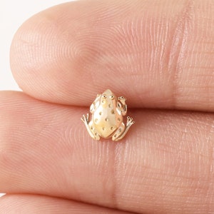 Aretes tipo rana en oro macizo de 14 k, delicados aretes tipo hélice en oro, aretes tipo caracol, aretes tipo rana para el cartílago, aretes tipo animal con parte posterior plana