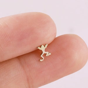 Orecchini a bottone a forma di rana in oro massiccio 14k, a bottone a elica in oro, a bottone a conchiglia, a bottone trago, a bottone a forma di rana, a bottone a forma di animale, a bottone piatto
