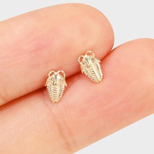 14K Solid Gold Invertebrate Ancient Animal Earring, Gold Helix Stud, Conch Piercing, Tragus Earring, Threadless Stud, Flat Back Earring