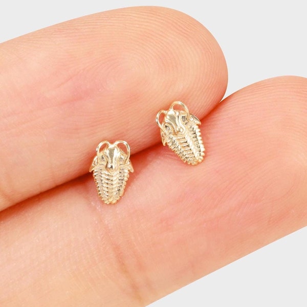 Pequeñas criaturas: Pendiente de oro macizo de 14 quilates con forma de invertebrado antiguo. Pendiente de hélice de oro, pendiente de concha, joyería para piercing de tragus, pendiente de parte trasera plana.