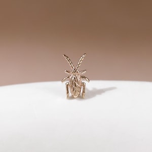 Tiny Creatures: 14K Solid Gold Cockroach Chic Stud Earring Tiny Insect Cartilage Flat Back Stud Cute Bug Earlobe Conch Piercing Jewelry