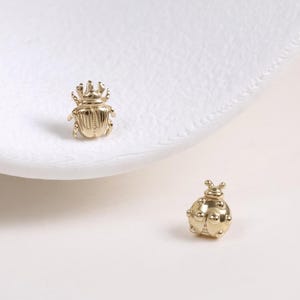 May include: Two small gold-toned metal insect-shaped studs. One stud is shaped like a beetle with a textured shell and the other is shaped like a ladybug with a smooth, rounded back and small raised dots on its surface, both featuring a metallic finish.