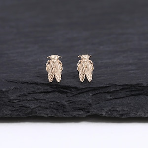 May include: A pair of gold-colored cicada stud earrings. The earrings are detailed with textured wings and body, set against a dark, textured background. The earrings are small and delicate, showcasing insect-inspired jewelry.