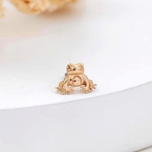 Tiny Creatures: 14K Solid Gold Frog Helix Earring Tiny Frog Earlobe Tragus Push Back Earring Minimalist Animal Cartilage Piercing Jewelry