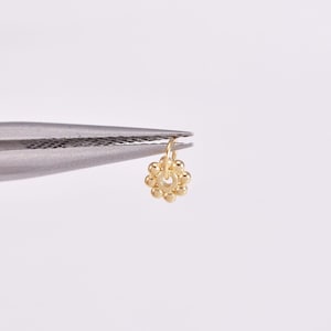 Dije de flor de oro macizo de 14 k, pendiente de flor de punto pequeño, pendiente de flor de círculo pequeño, delicados pendientes de flor para cartílago y trago.