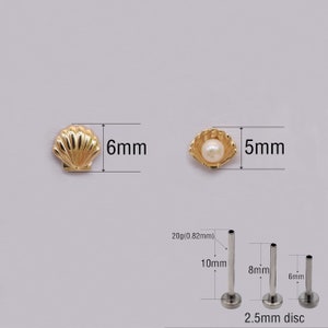 14K Solid Gold Shell Stud Earrings Pearl Cartilage Stud Earring Conch ...