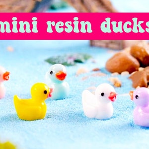 Mini Resin Ducks | Miniatures Items | Fairy Garden Supplies | Mini Ducks | Craft Supplies | Dollhouse Decor