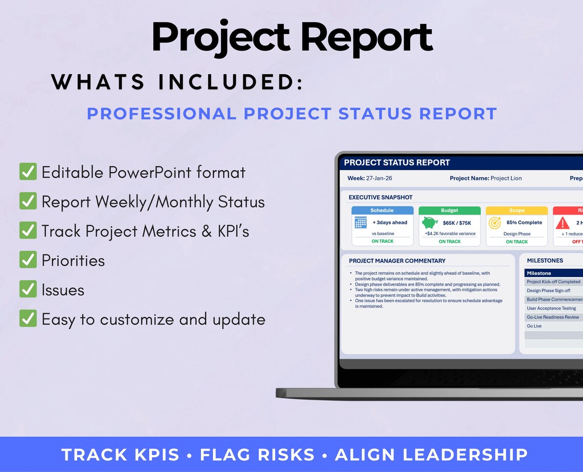 Executive Project Status Report Template | Powerpoint Project Executive ...