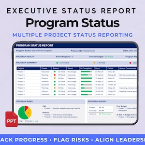 Plantilla de informe de estado del programa ejecutivo / Actualización ejecutiva del programa en PowerPoint / Informe del panel de control del proyecto / Diapositiva del panel de control de KPI