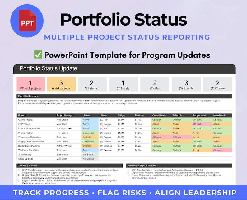 Executive Project Portfolio Status Report Template | Powerpoint Program ...