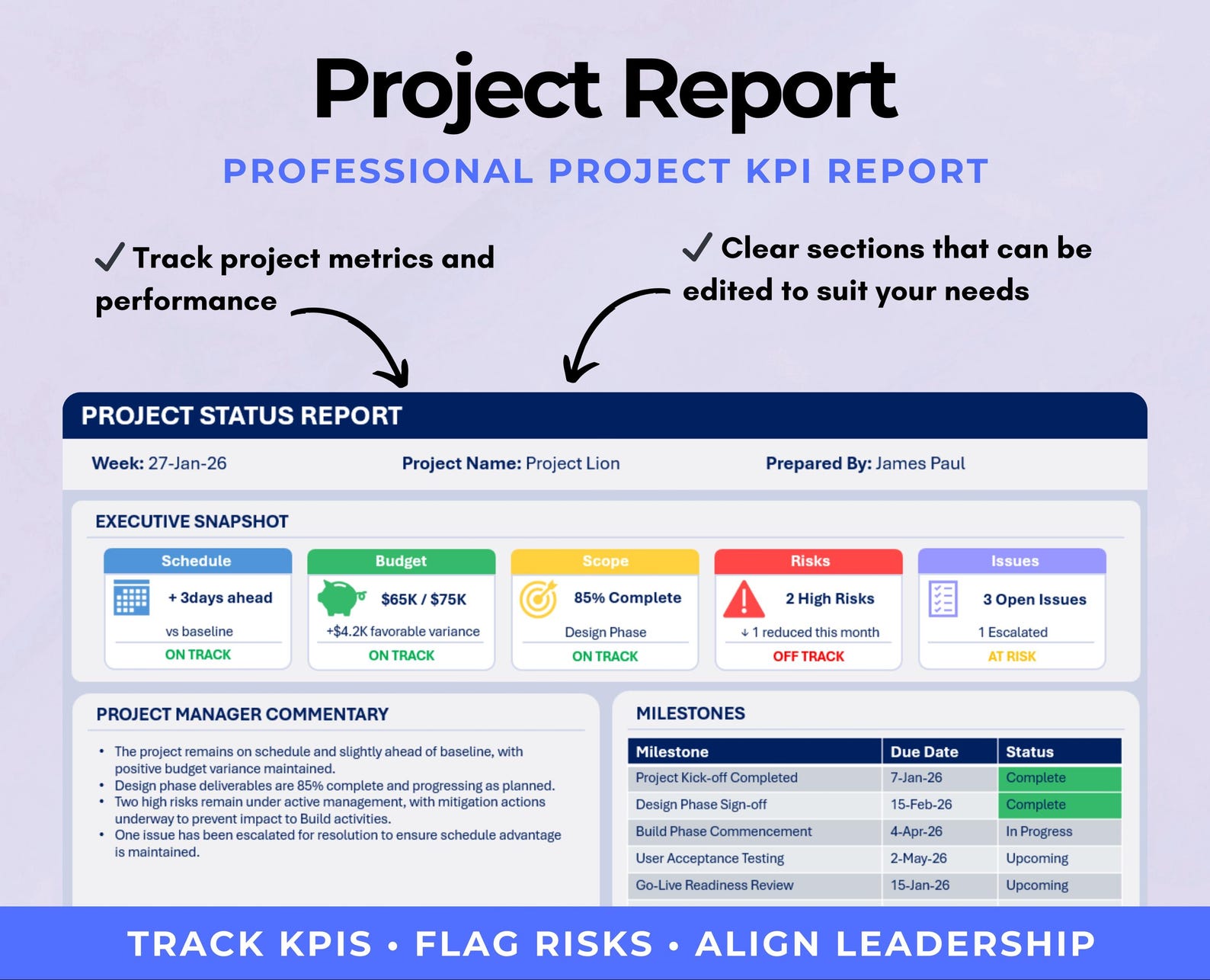 Executive Project Status Report Template | Powerpoint Project Executive ...
