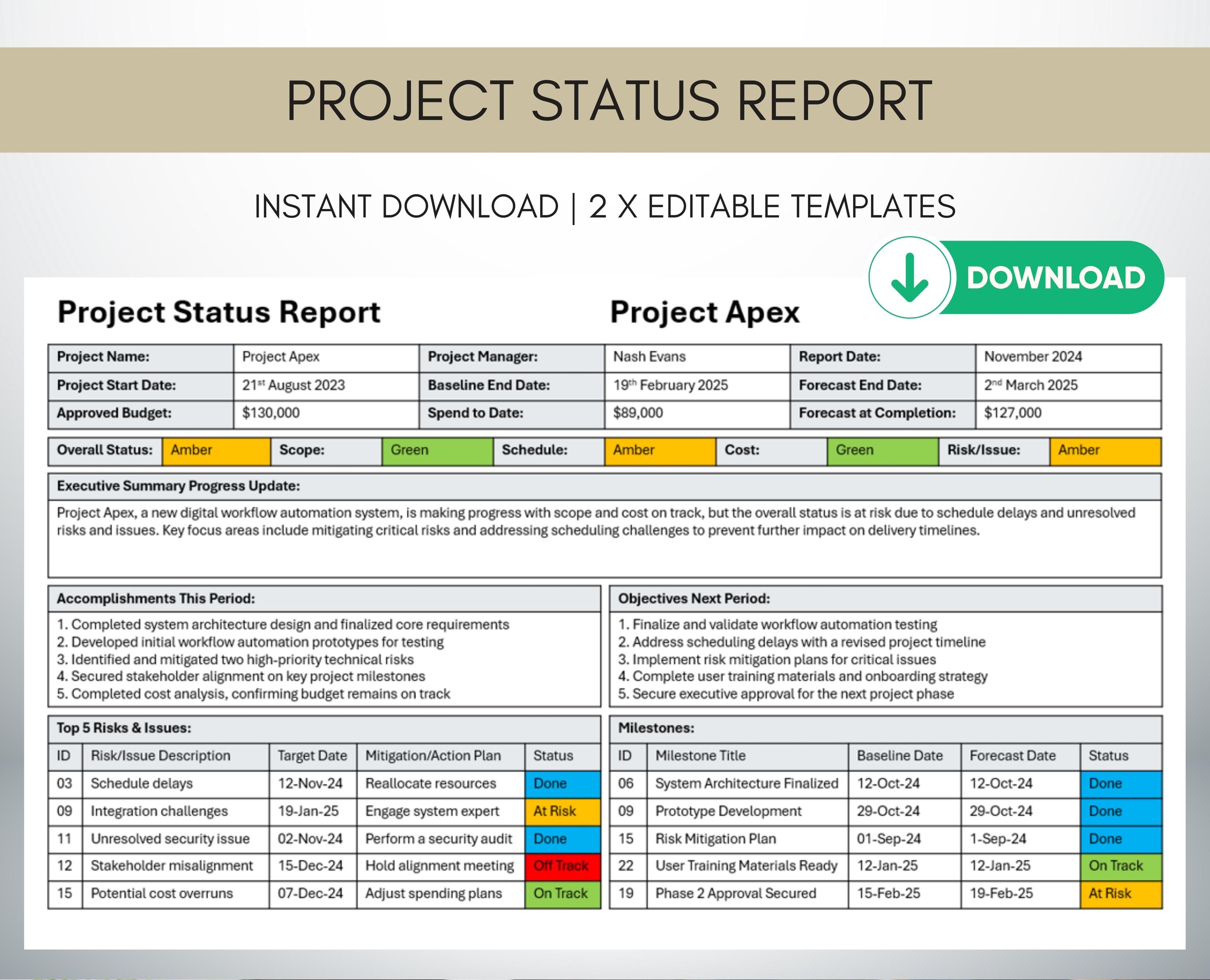 Project Status Report Template Project Dashboard Project Management