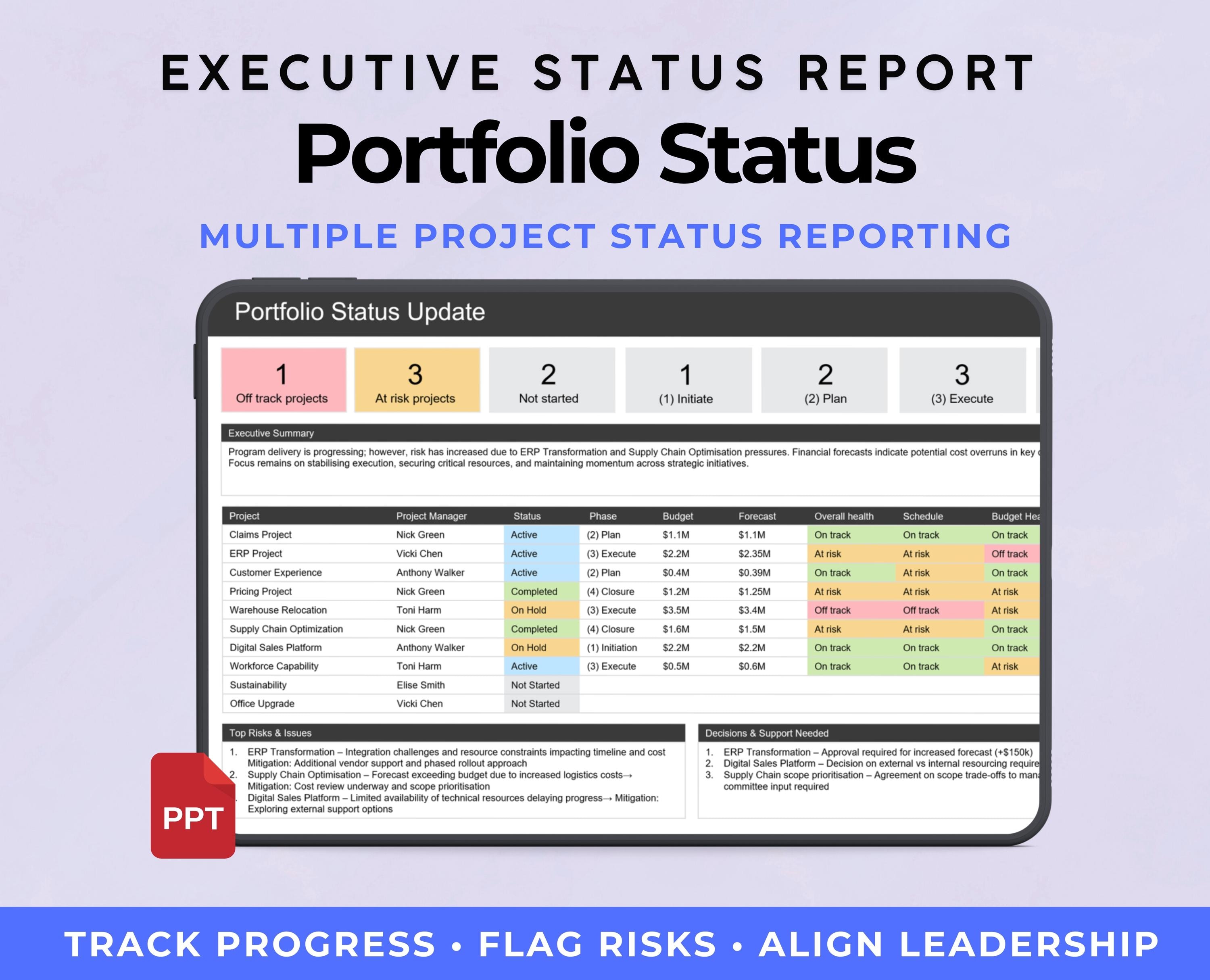 Executive Project Portfolio Status Report Template | Powerpoint Program ...