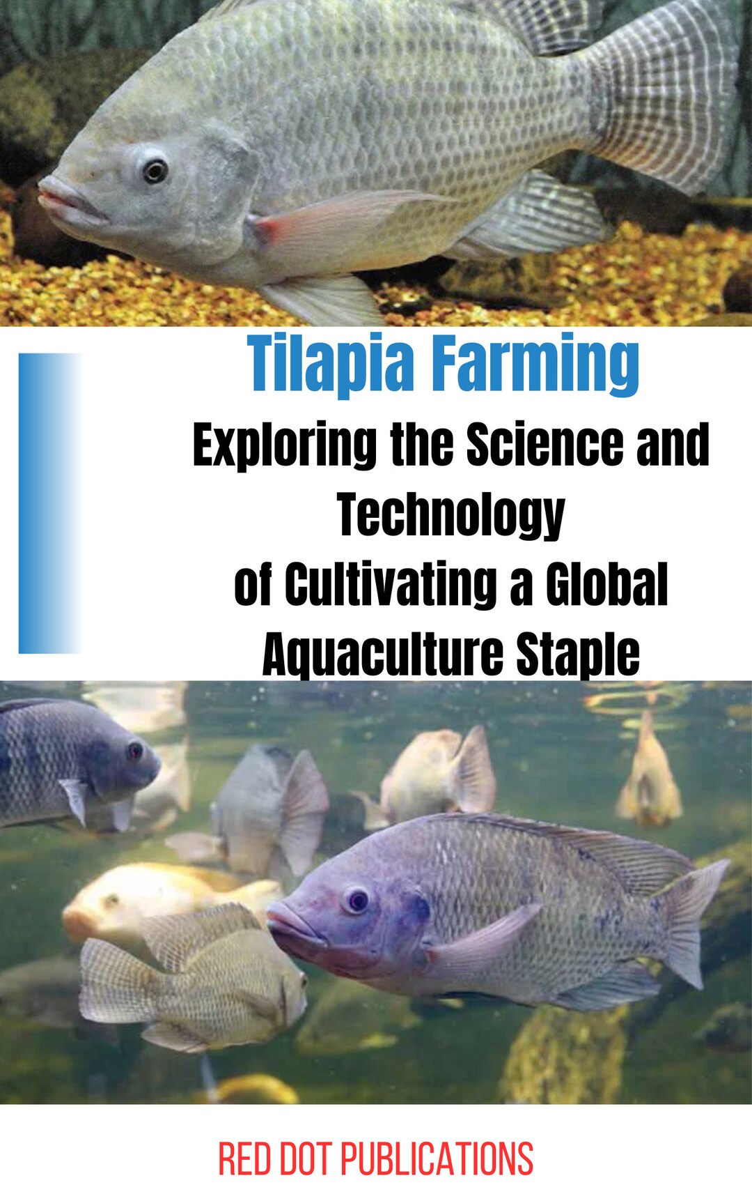 Tilapia Farming Exploring the Science and Technology of Etsy