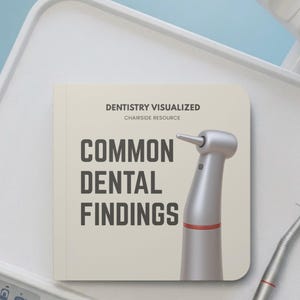 Puede incluir: Un libro cuadrado de color crema titulado Dentistry Visualized: Chairside Resource: Common Dental Findings, con un gráfico de una pieza de mano dental plateada con un anillo rojo. Una pieza de mano dental plateada a juego yace cerca.