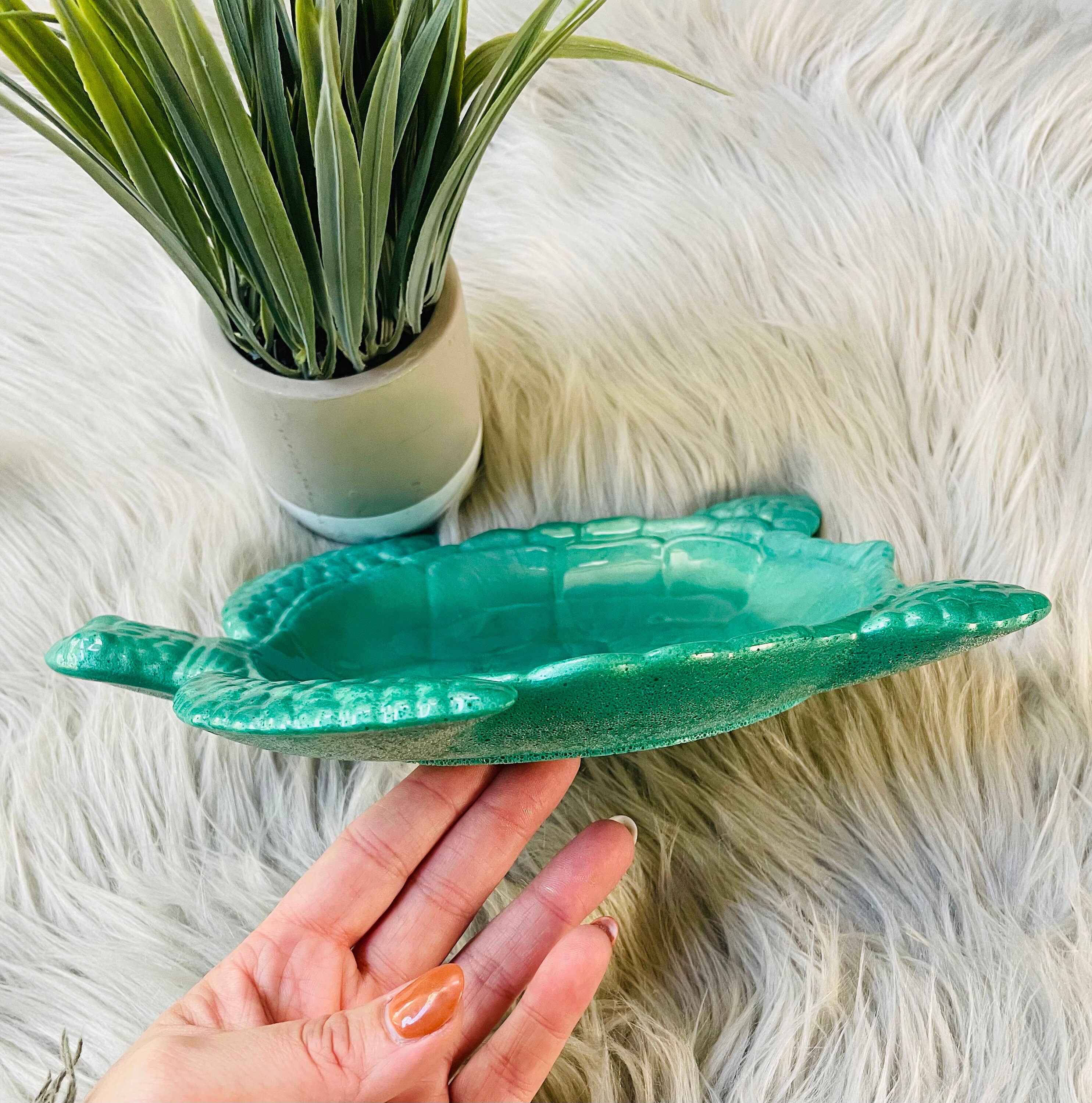 Portasapone In Ghisa Aqua Craft - A Forma Di Tartaruga, Collezione Waterside, 6 Cm - copertina
