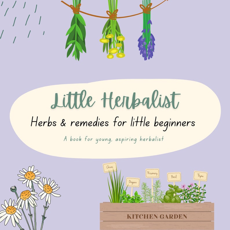 Beginners Little Herbalist Book Etsy
